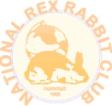 Banner Rexclub USA