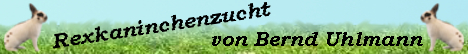 Banner Bernd Uhlmann