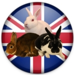 Banner British Mini Rex Club