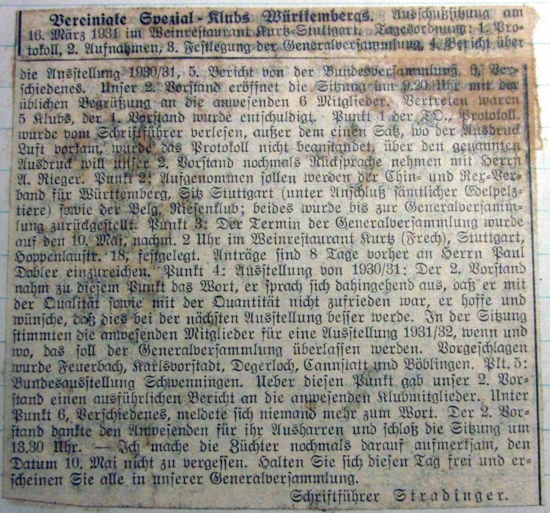 Zeitungsartikel Ausschußsitzung März 1931